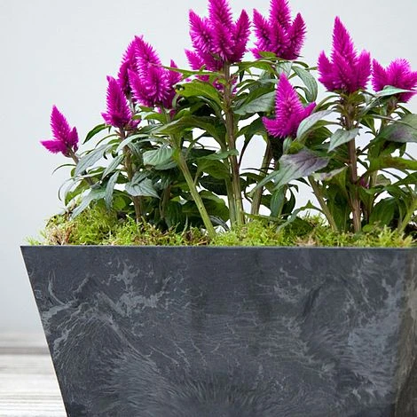 Balcony Trough Ella Black H17Cm D37Cm - Image 3