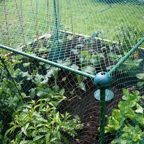 Butterfly Protection Cage - Image 5