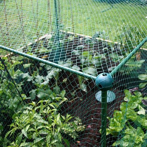 Butterfly Protection Cage - Image 7