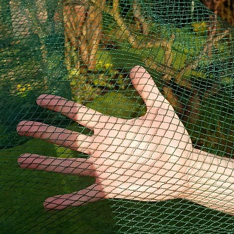 Butterfly Protection Cage - Image 8