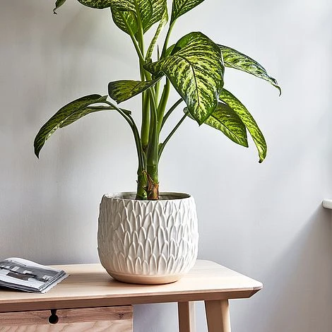 Arles Leaf Embossed White Planter H20Cm W22Cm - Image 2