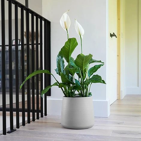 Akemi Planter Clean Grey H20CM D22CM - Image 2