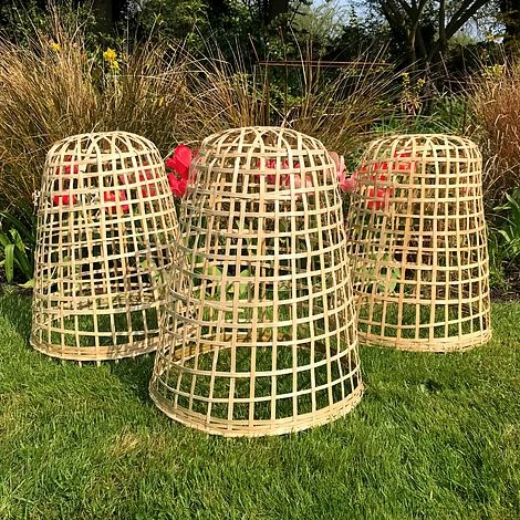 Bamboo Bell Cloche & Garden Plant Protection Cover - Small - Image 3