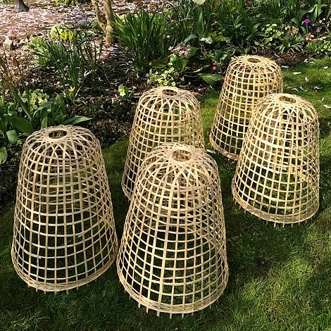 Bamboo Bell Cloche & Garden Plant Protection Cover - Small - Image 5
