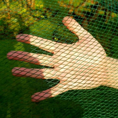 Soft Butterfly Mesh Netting For Cabbages Brassicas & Plants - 6m Wide - Image 2