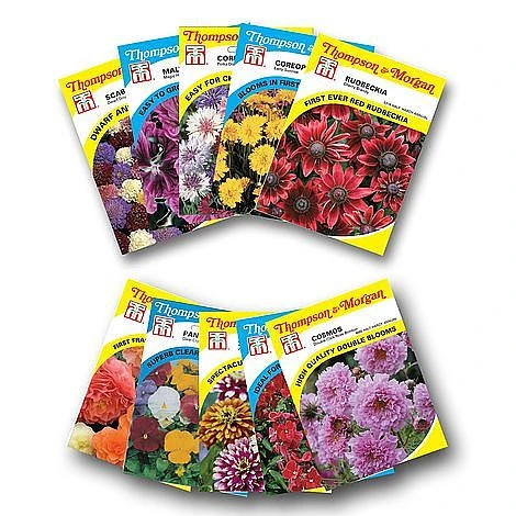 Summer Plant & Seed Bundle - Image 2