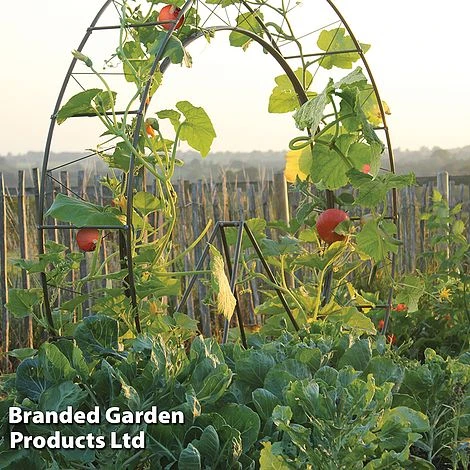 Circular Plant Growing Frame - Image 3
