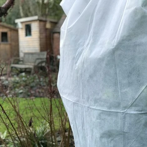 Ultimate Protection 50GSM Frost Fleece Plant Jacket - 1.6m Wide X 2m High - Image 2