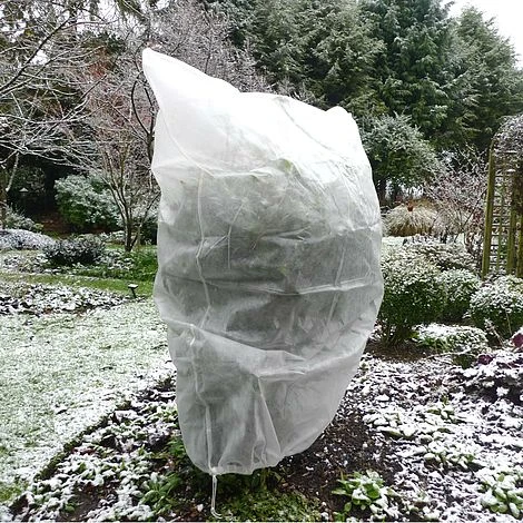 Ultimate Protection 50GSM Frost Fleece Plant Jacket - 1.6m Wide X 2m High - Image 5