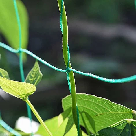 Garden Gear Pea & Bean Tunnel 1.8 X 1.8m - Image 3