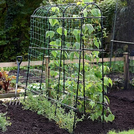 Garden Gear Pea & Bean Tunnel 1.8 X 1.8m - Image 2