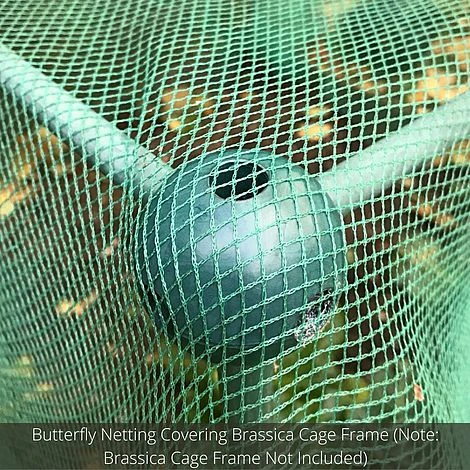 Soft Butterfly Mesh Netting For Cabbages Brassicas & Plants - 4m Wide - Image 4