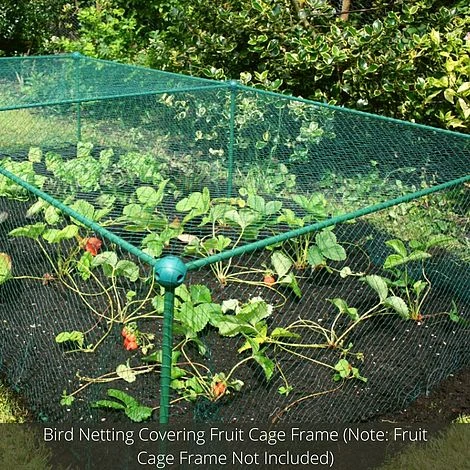 Bird Block Soft Bird Mesh Netting For Fruit Veg & Plants - 4m Wide - Image 3