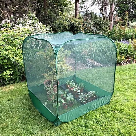 Pop Up Fruit Cage & Brassica Grow-House - 1.35m High - Image 2