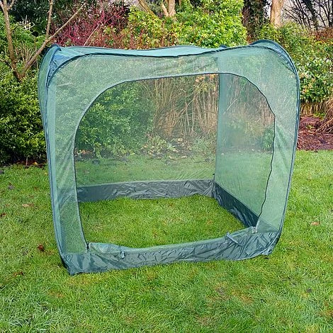 Pop Up Cabbage & Brassica Vegetable Cage Plant Cover - Image 2