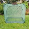 Pop Up Cabbage & Brassica Vegetable Cage Plant Cover