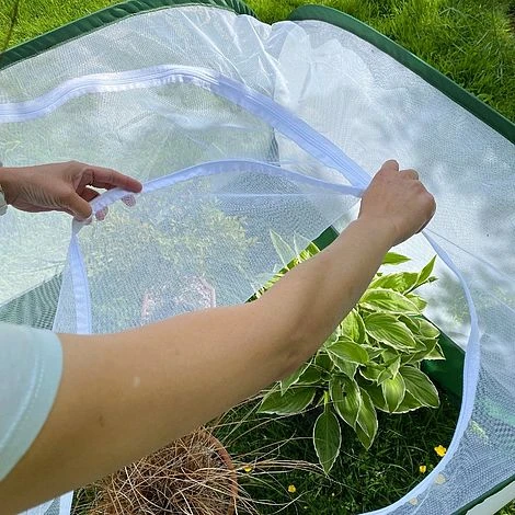 Pop Up Insect Net Fruit Cage & Vegetable Protection Cover - Image 4