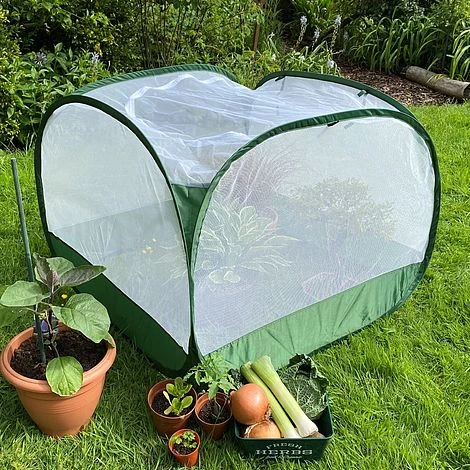 Pop Up Insect Net Fruit Cage & Vegetable Protection Cover - Image 3