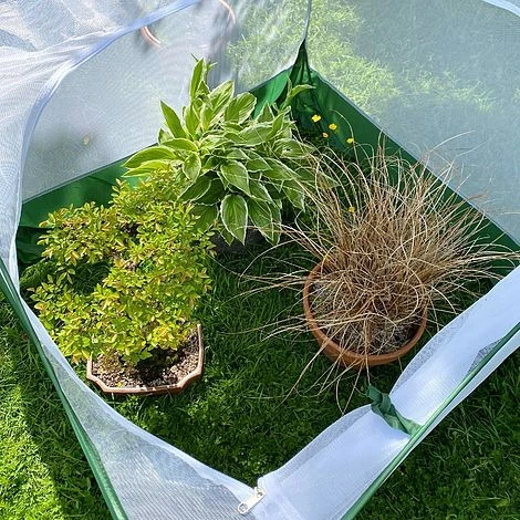 Pop Up Insect Net Fruit Cage & Vegetable Protection Cover - Image 5