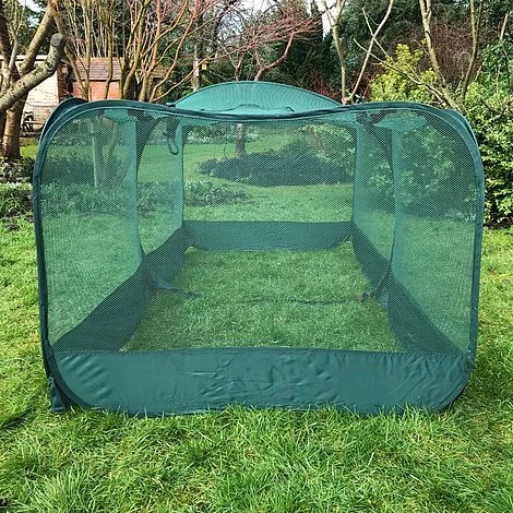 Giant Pop Up Fruit Cage & Plant Protection Cover - Image 4