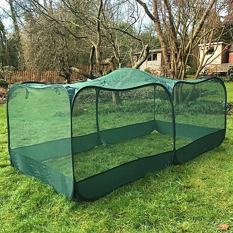 Giant Pop Up Fruit Cage & Plant Protection Cover - Image 2
