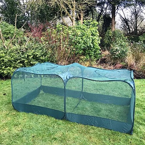Giant Pop Up Fruit Cage & Plant Protection Cover - Image 5
