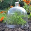 Glass Bell Cloche