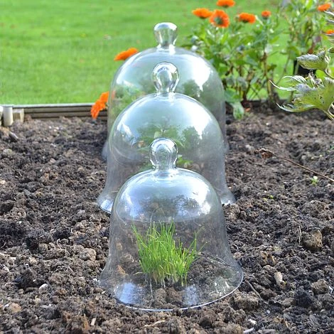 Glass Bell Cloche - Image 2