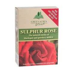 Sulphur Rose - 250 Grams