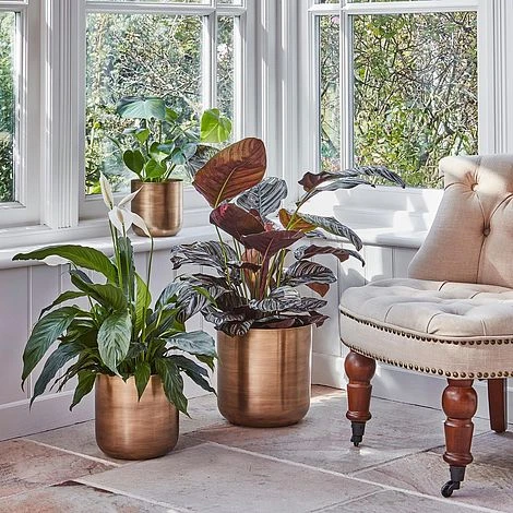 Indoor Chelsea Brass Planter H28Cm D28Cm - Image 2