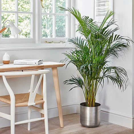 Indoor Chelsea Pewter Planter H20Cm D20Cm - Image 2