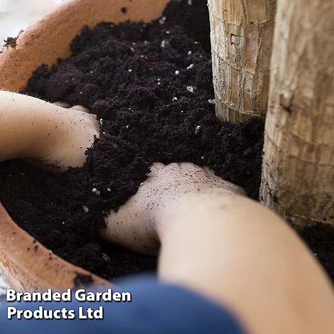 Incredicompost Peat Free Houseplant - Image 6