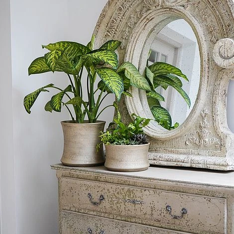 Luxe Bowl White Gold H14CM D24CM - Image 4