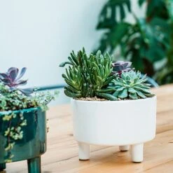 Pisa White Planter H24Cm D20Cm