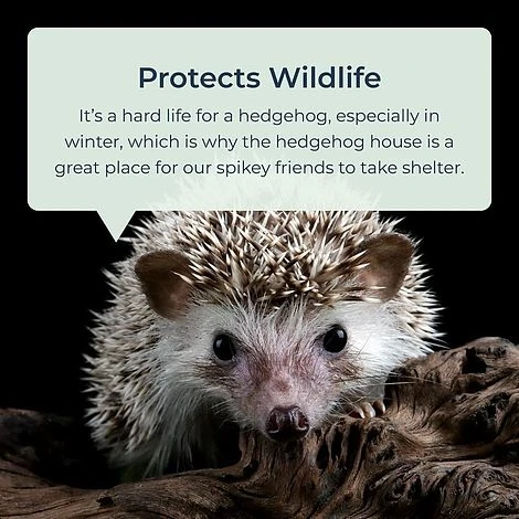 Idooka Waterproof Hedgehog House Garden Shelter Hedgehog Hotel - Image 2