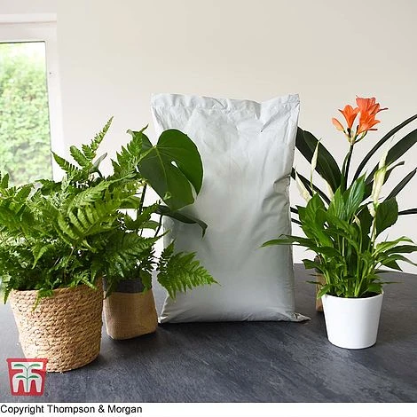 Incredicompost Peat Free Houseplant - Image 4