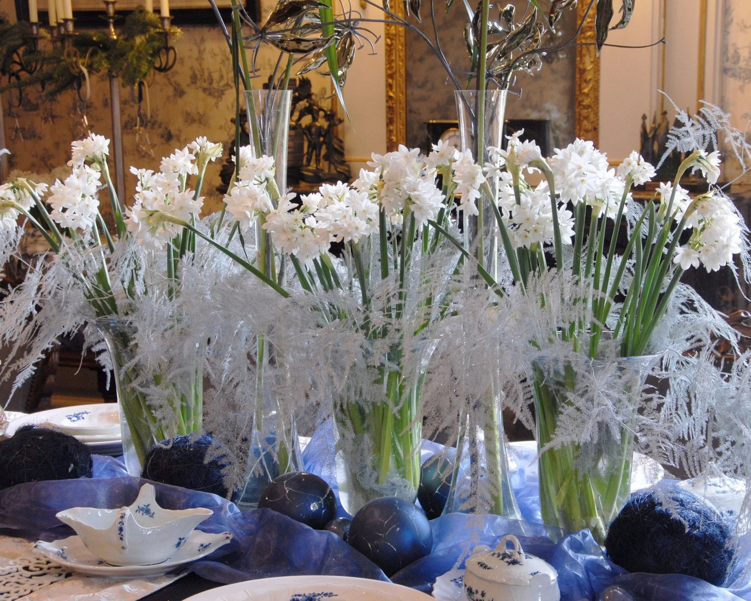 Narcissus Tazetta 'Paperwhite' - Image 8