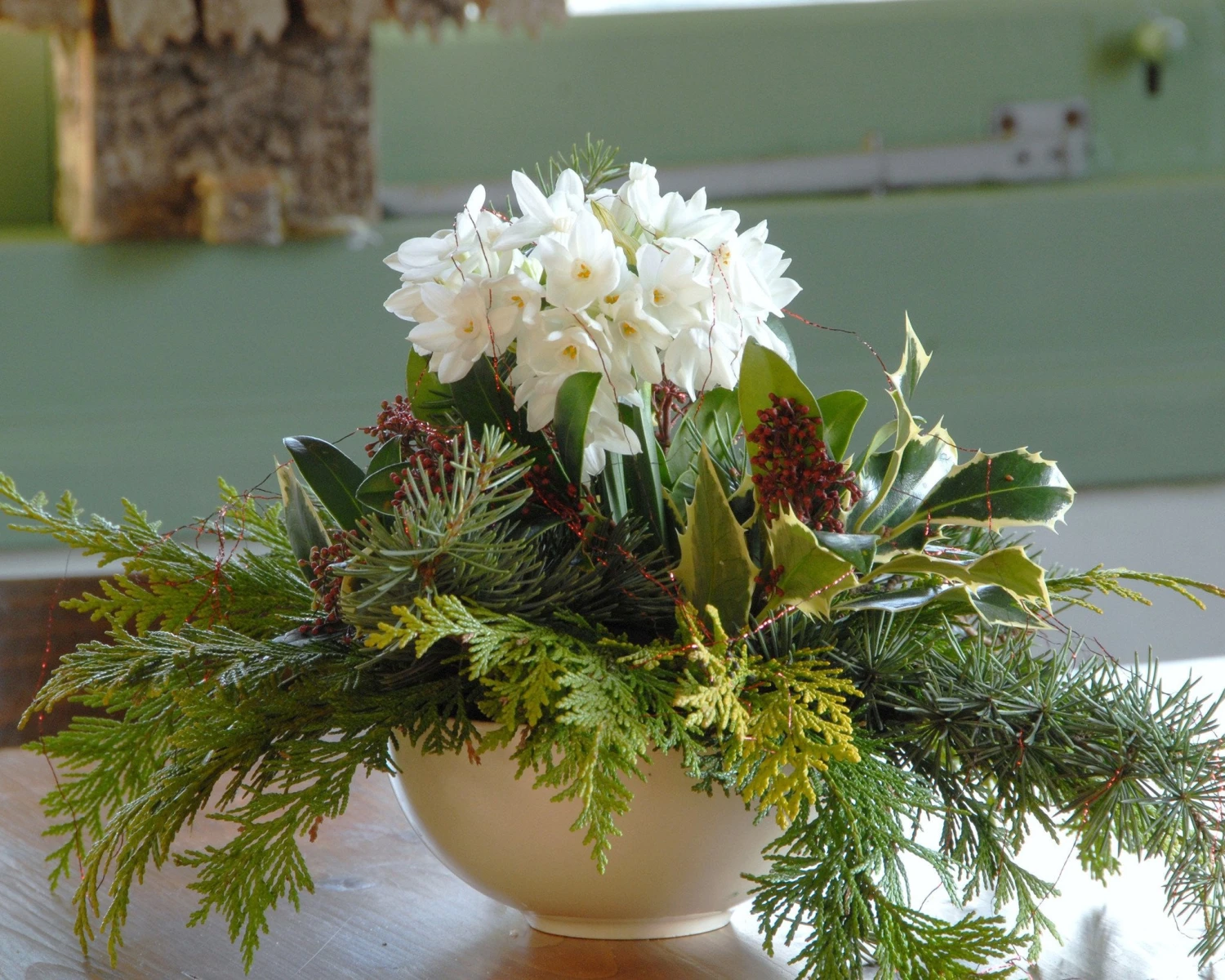 Narcissus Tazetta 'Paperwhite' - Image 9