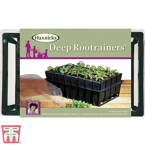 Deep Root Trainers - Image 4