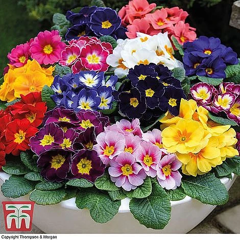 Ultimate Winter Bedding Collection - Image 2